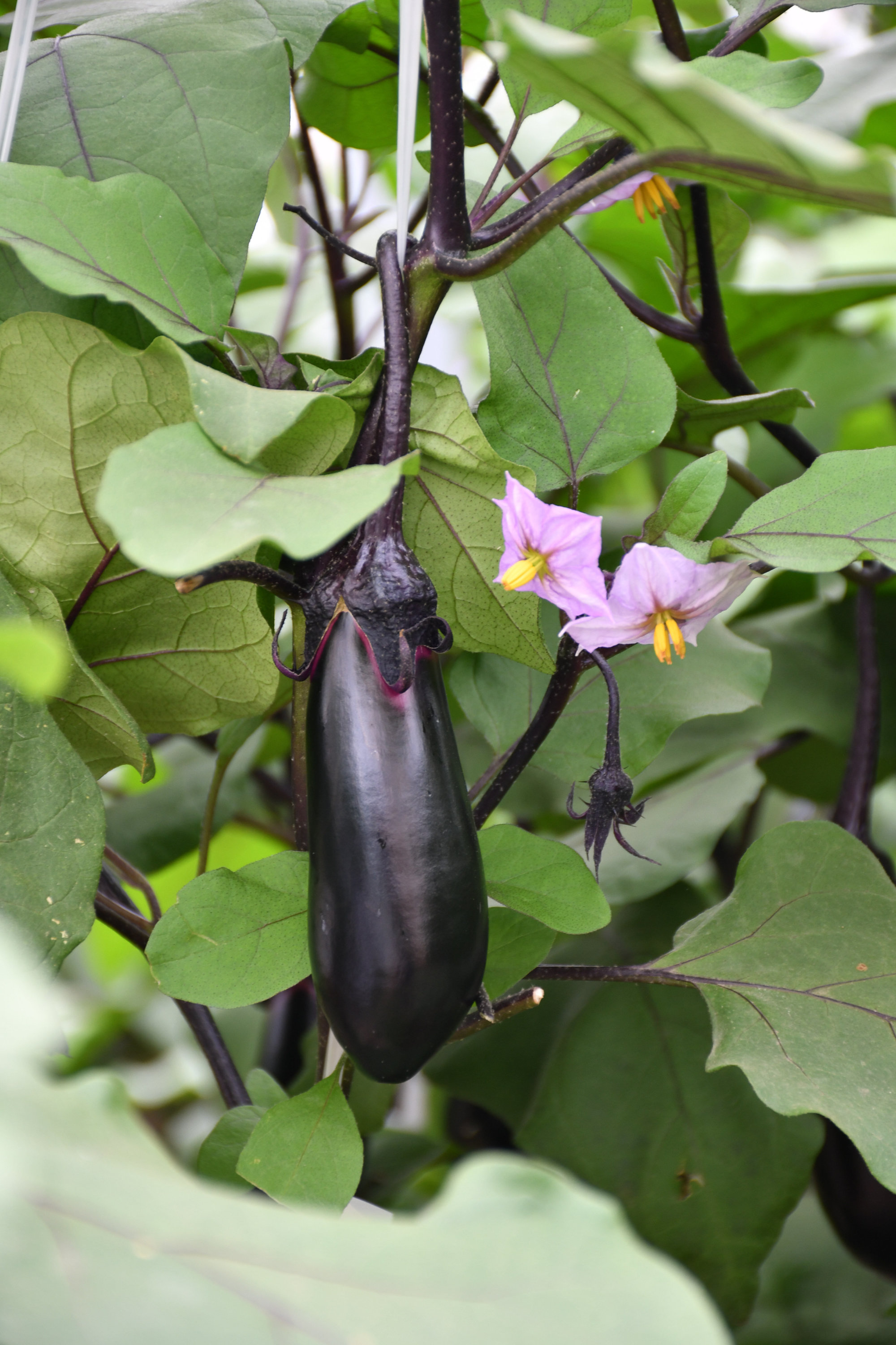 フォトギャラリー