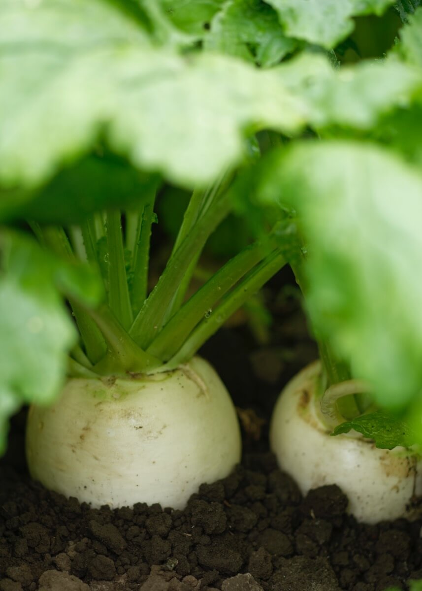 フォトギャラリー