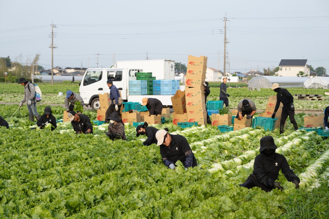 フォトギャラリー