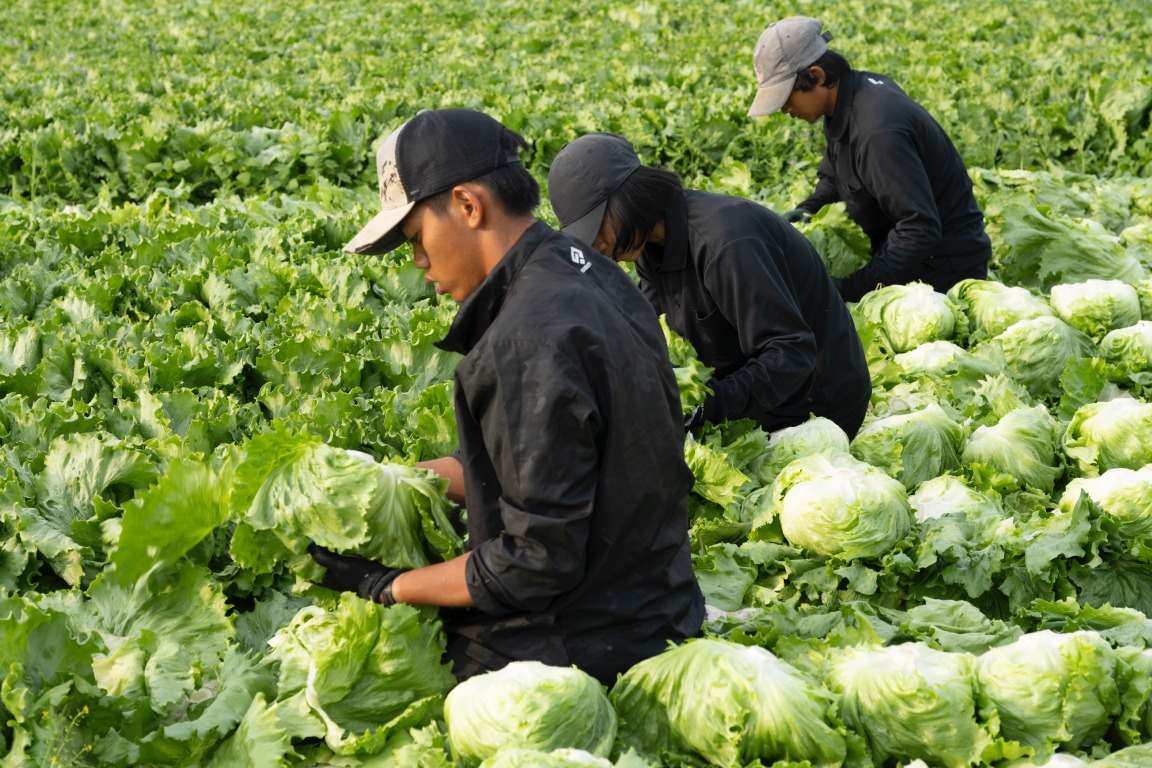 フォトギャラリー