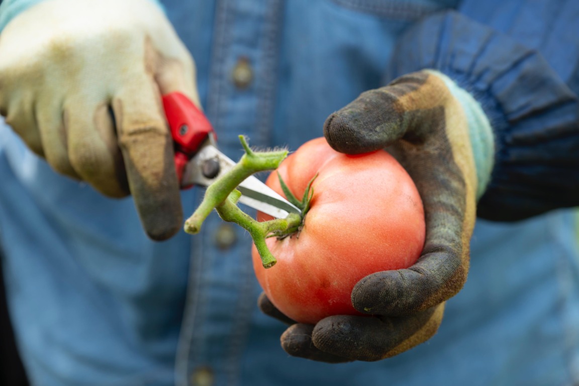 フォトギャラリー