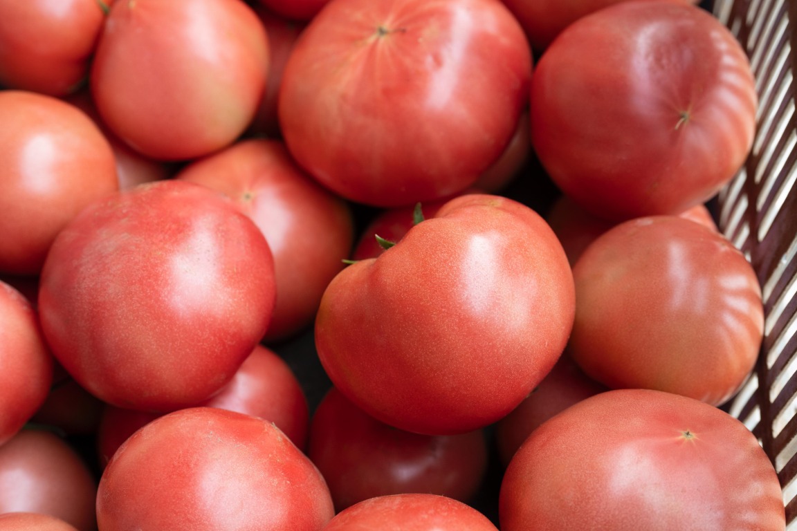 フォトギャラリー