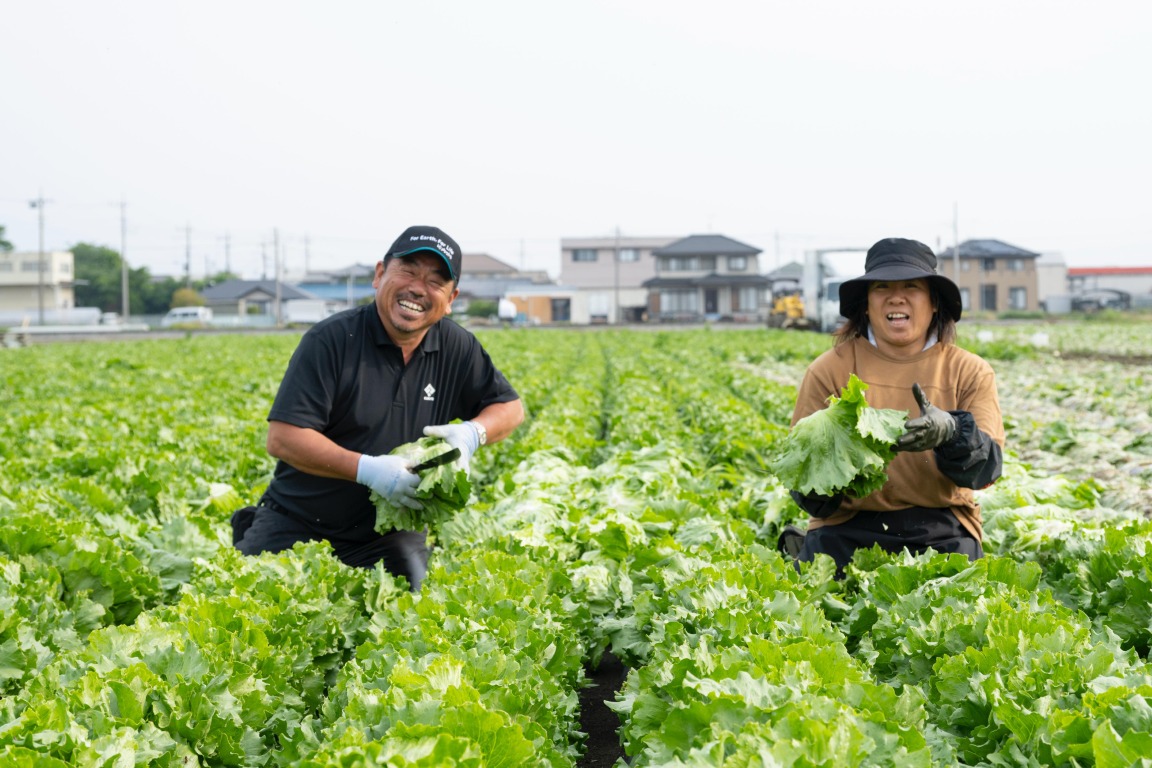 フォトギャラリー