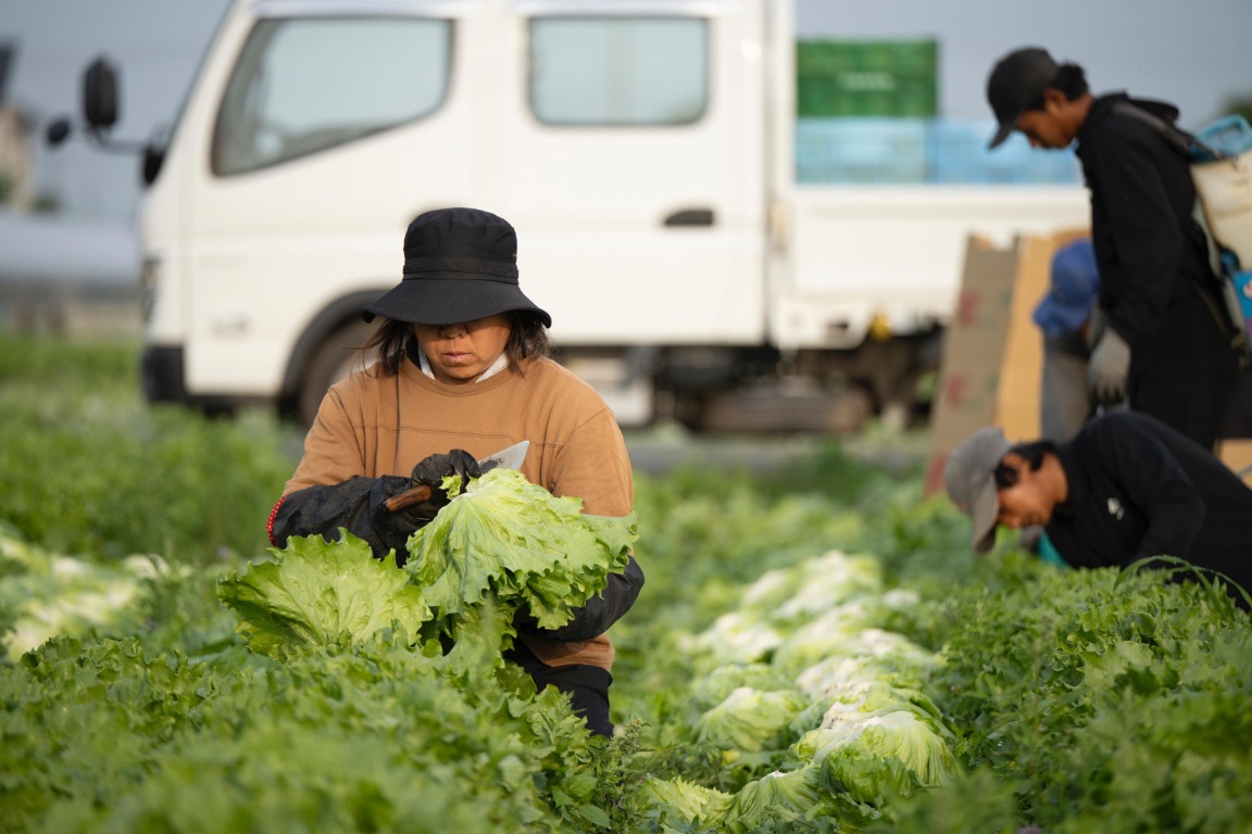 フォトギャラリー