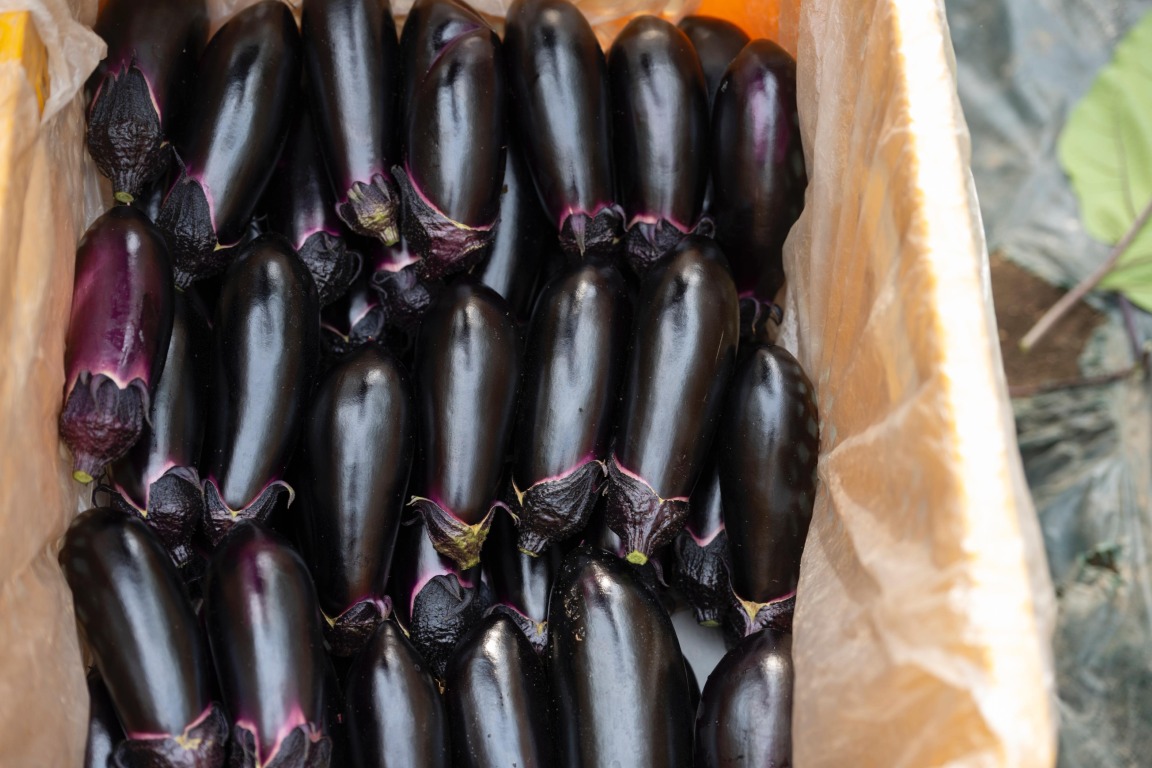 フォトギャラリー