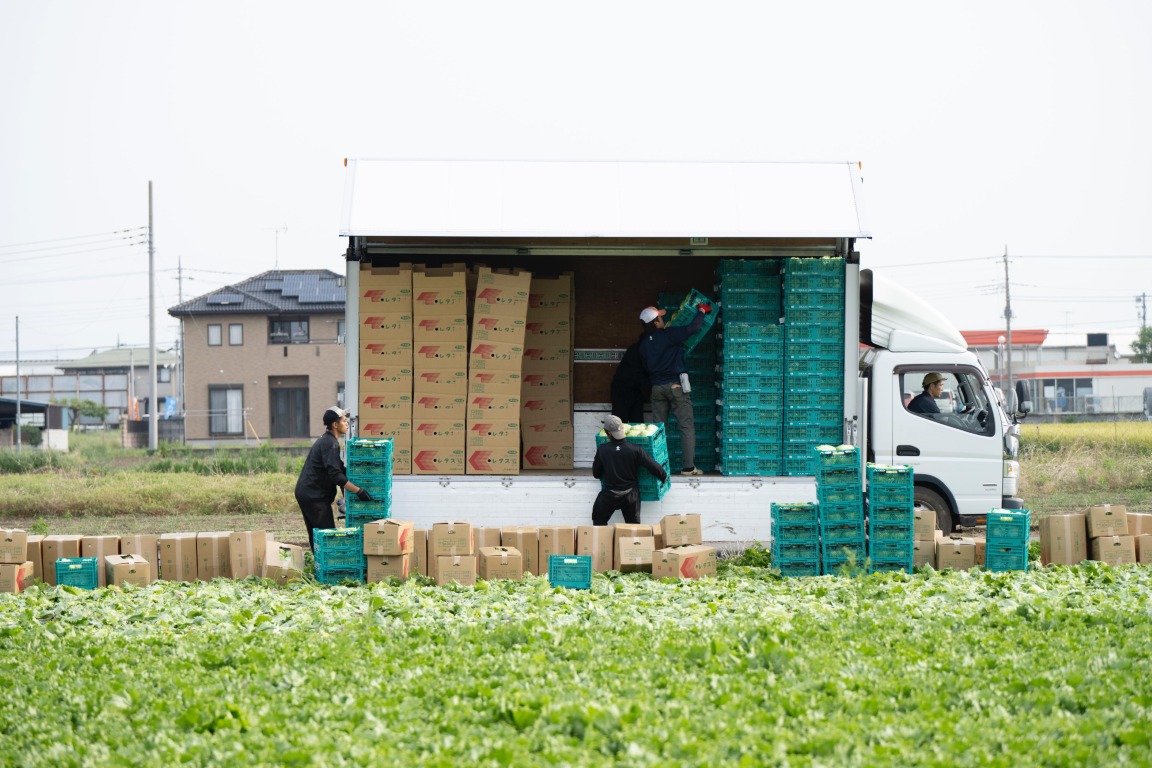 フォトギャラリー