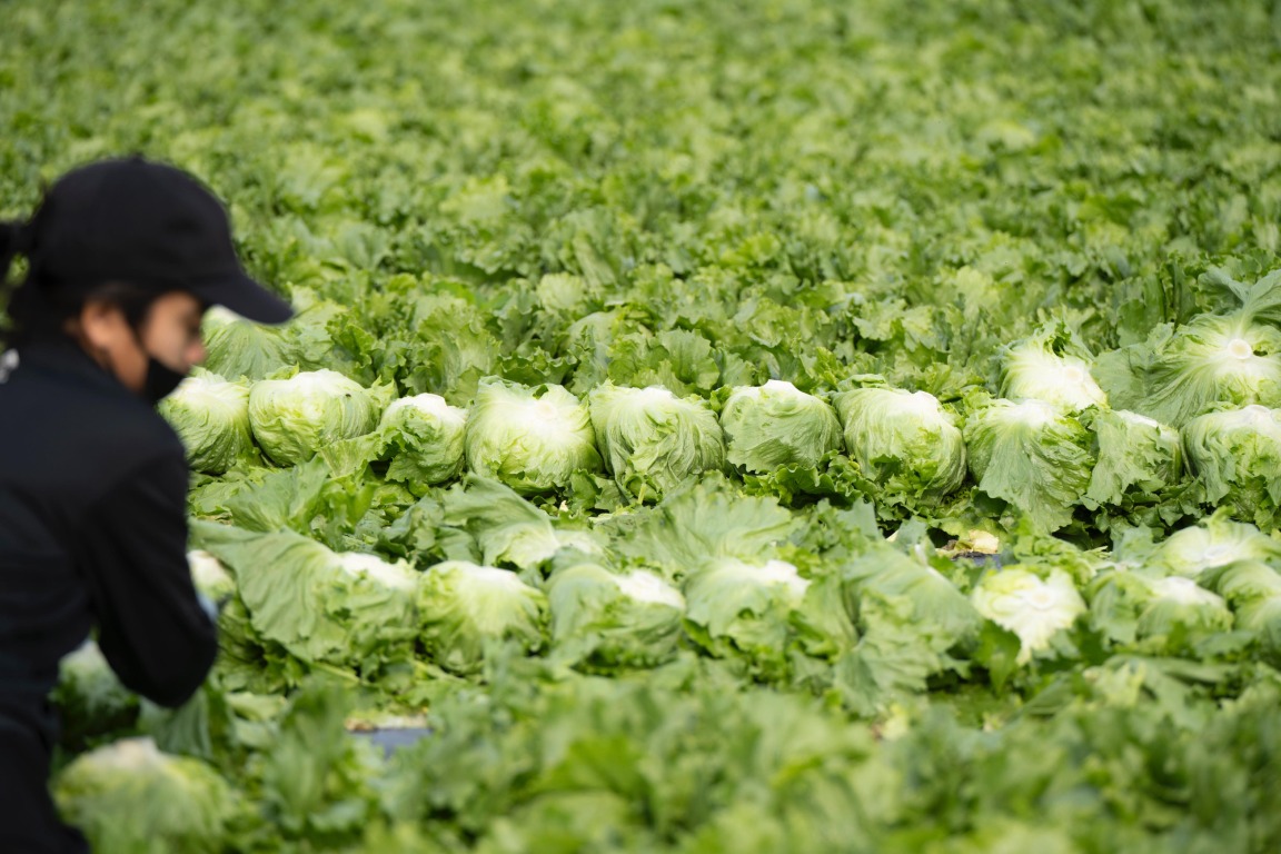 フォトギャラリー