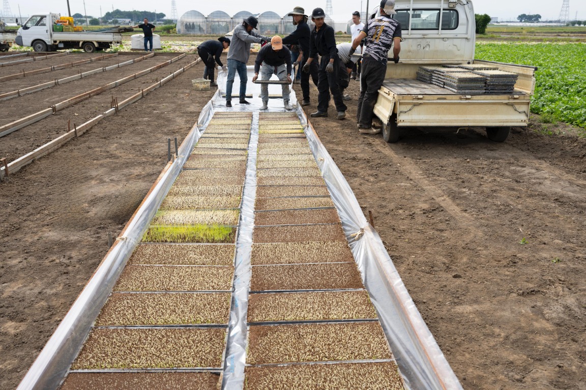 フォトギャラリー